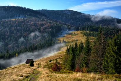 Czytaj całość